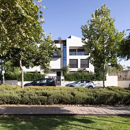 The Y House-3